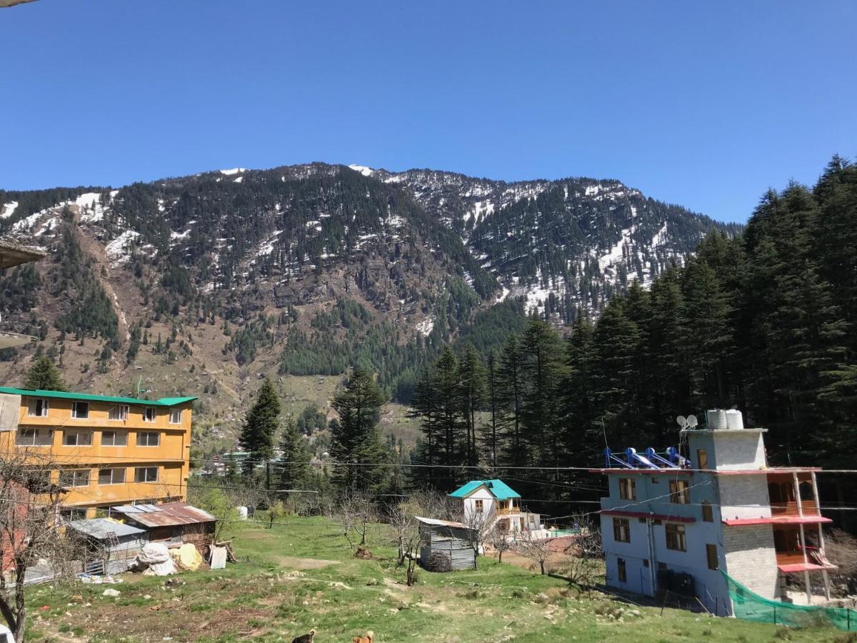 Hotel Hadimba Way - Manali (Himachal Pradesh) — Photos 2